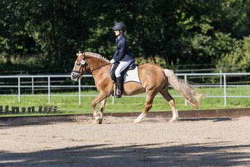 Bild 64 - Pony Akademie Turnier